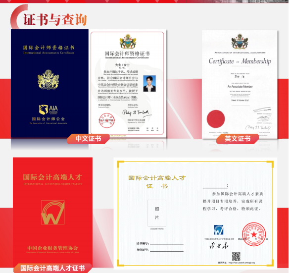 国际会计师AAIA课程