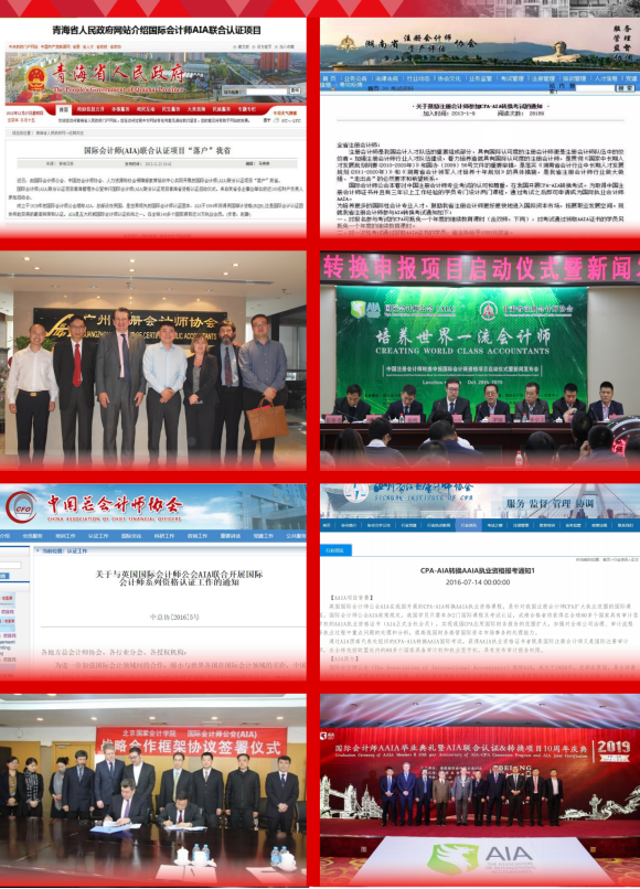 国际会计师AAIA课程