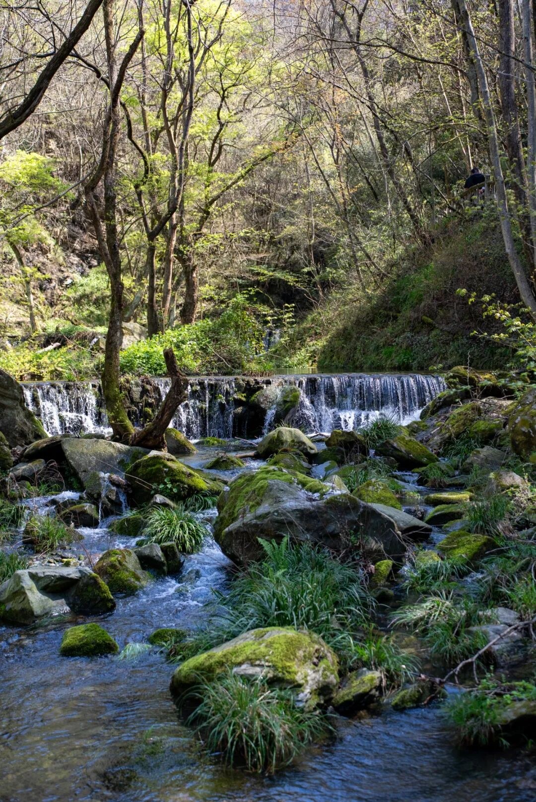 南师谈辟谷为什么不能盲试？武当山7天清水辟谷营的服气、清水静修和入营提醒
