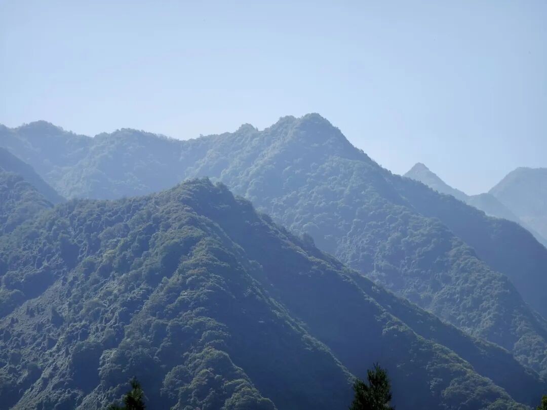 北京灵慧山·合光疗愈·辟谷营:7天7晚山林静修与身心疗愈安排