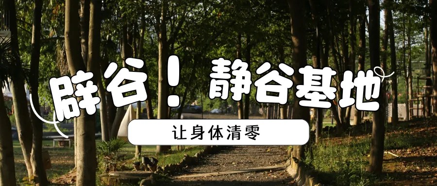 杭州静谷养生基地:为什么辟谷第二天容易难熬?