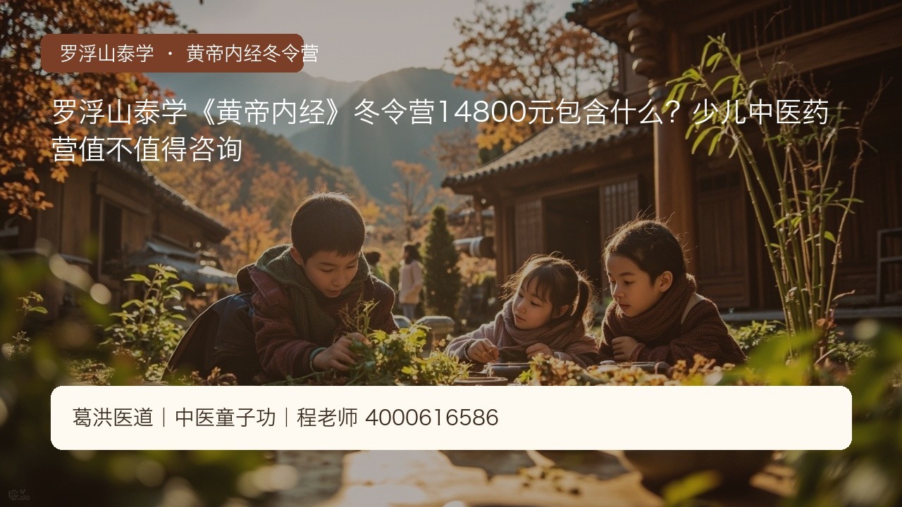 罗浮山泰学《黄帝内经》冬令营14800元包含什么?少儿中医药营值不值得咨询
