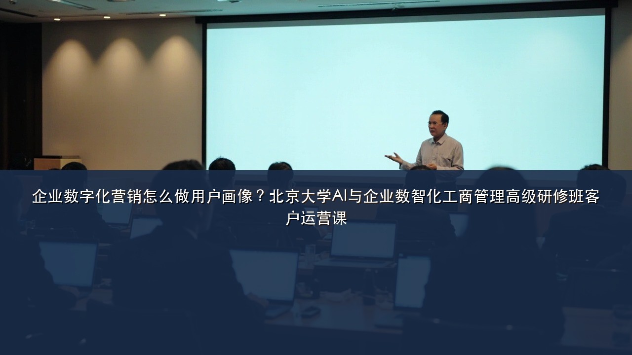 企业数字化营销怎么做用户画像?北京大学AI与企业数智化工商管理高级研修班客户运营课
