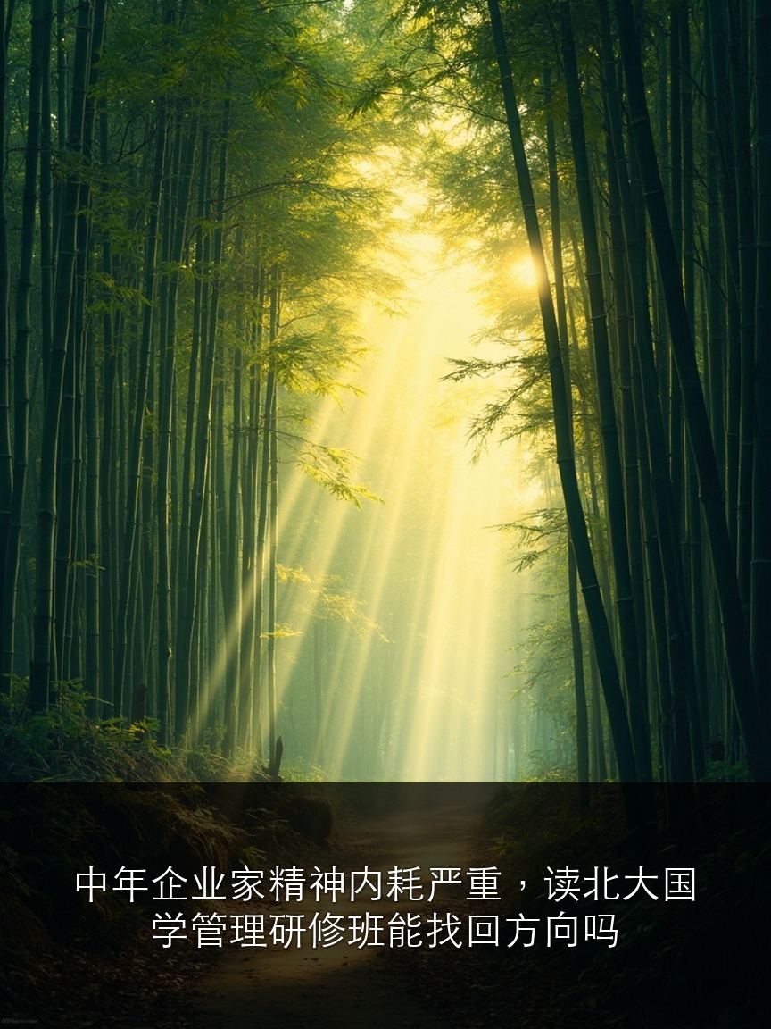 中年企业家精神内耗严重,读北大国学管理研修班能找回方向吗