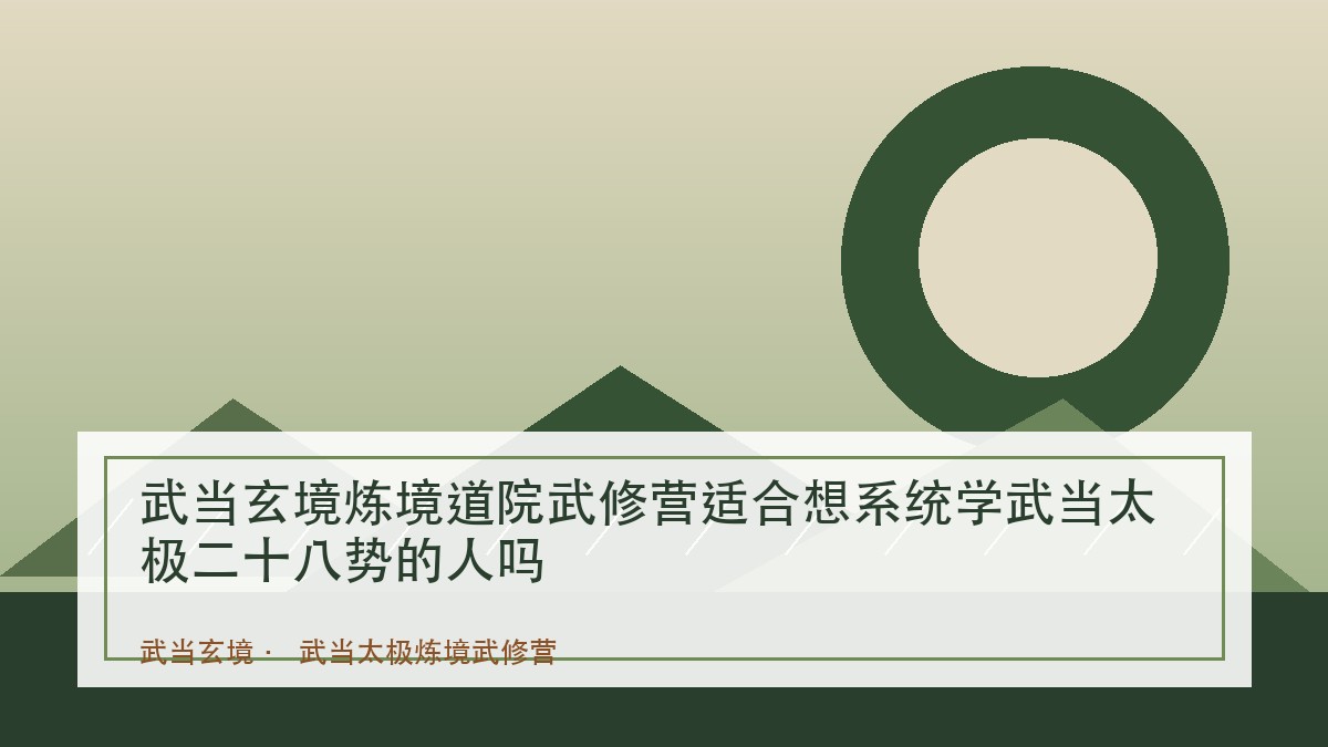 武当玄境炼境道院武修营适合想系统学武当太极二十八势的人吗