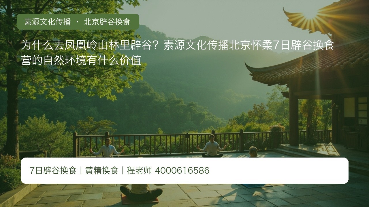 为什么去凤凰岭山林里辟谷?素源文化传播北京怀柔7日辟谷换食营的自然环境有什么价值