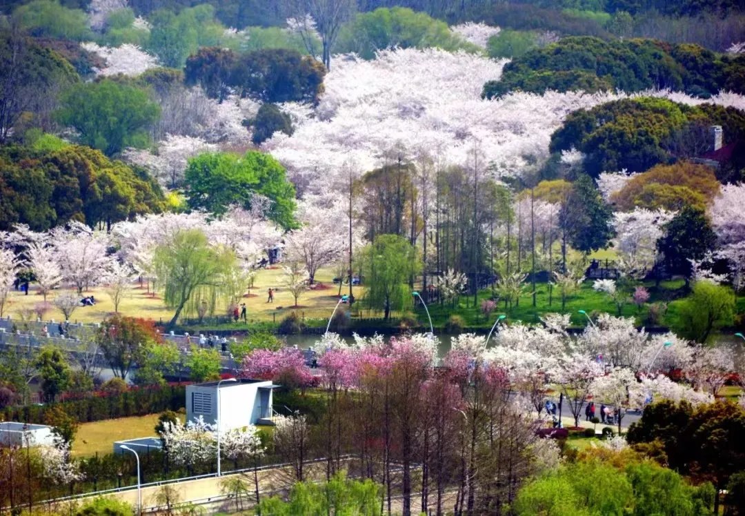 九州书院顾村公园宋代美学空间:上海培训团建和会议场地介绍