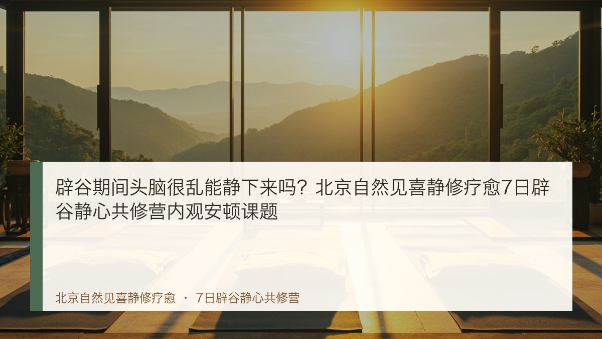 辟谷期间头脑很乱能静下来吗?北京自然见喜静修疗愈7日辟谷静心共修营内观安顿课题