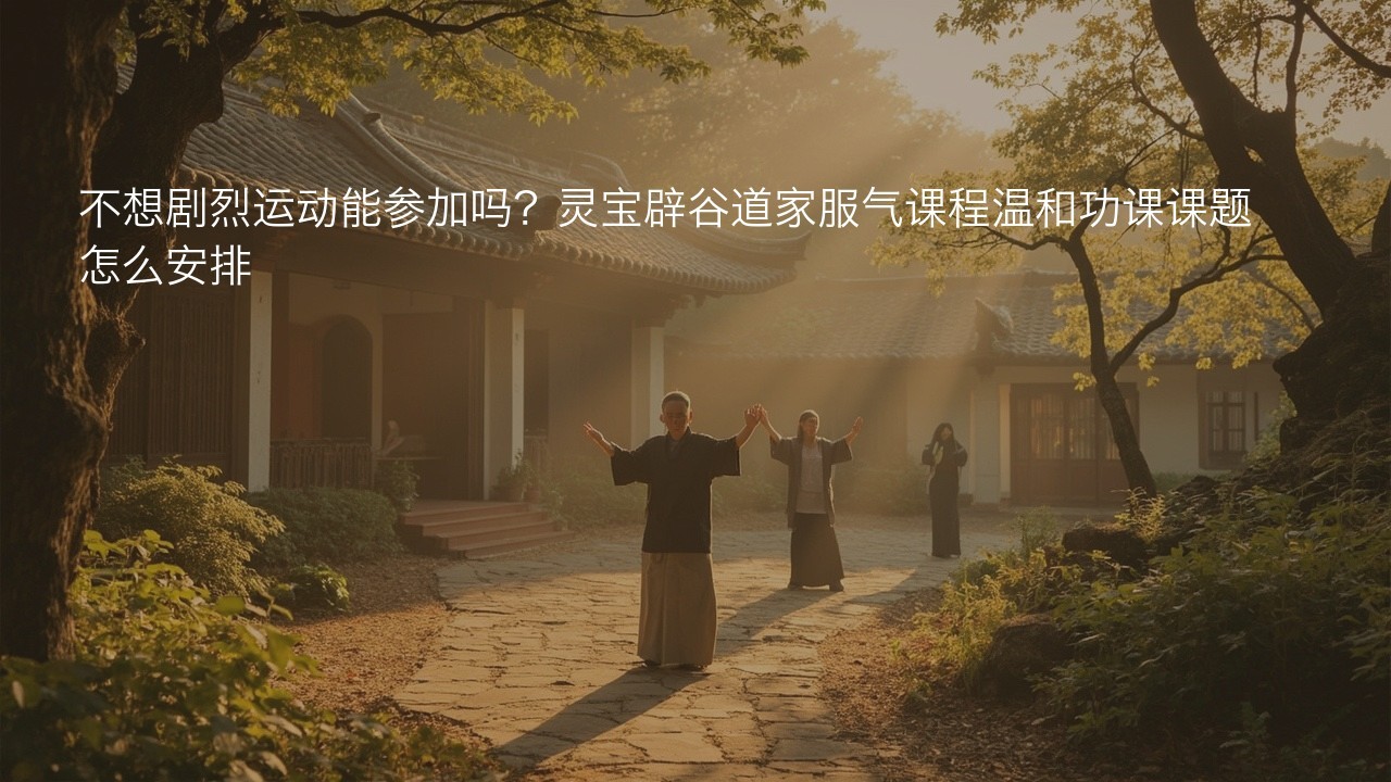 不想剧烈运动能参加吗?灵宝辟谷道家服气课程温和功课课题怎么安排
