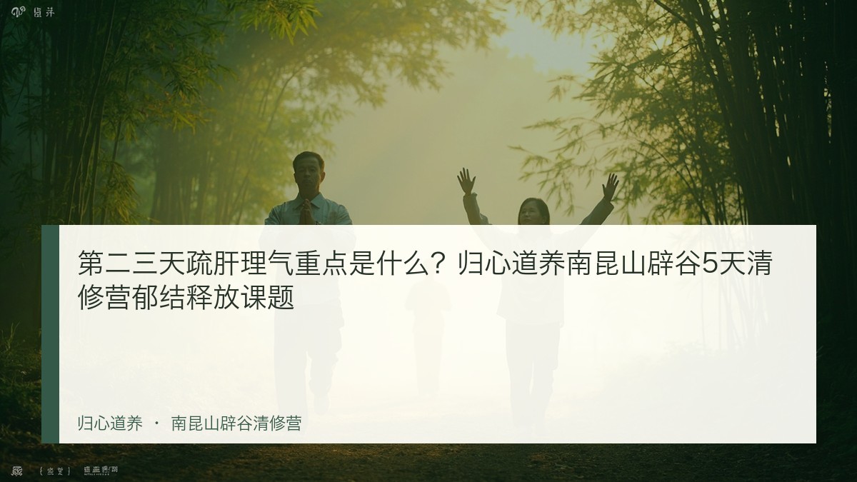 第二三天疏肝理气重点是什么?归心道养南昆山辟谷5天清修营郁结释放课题