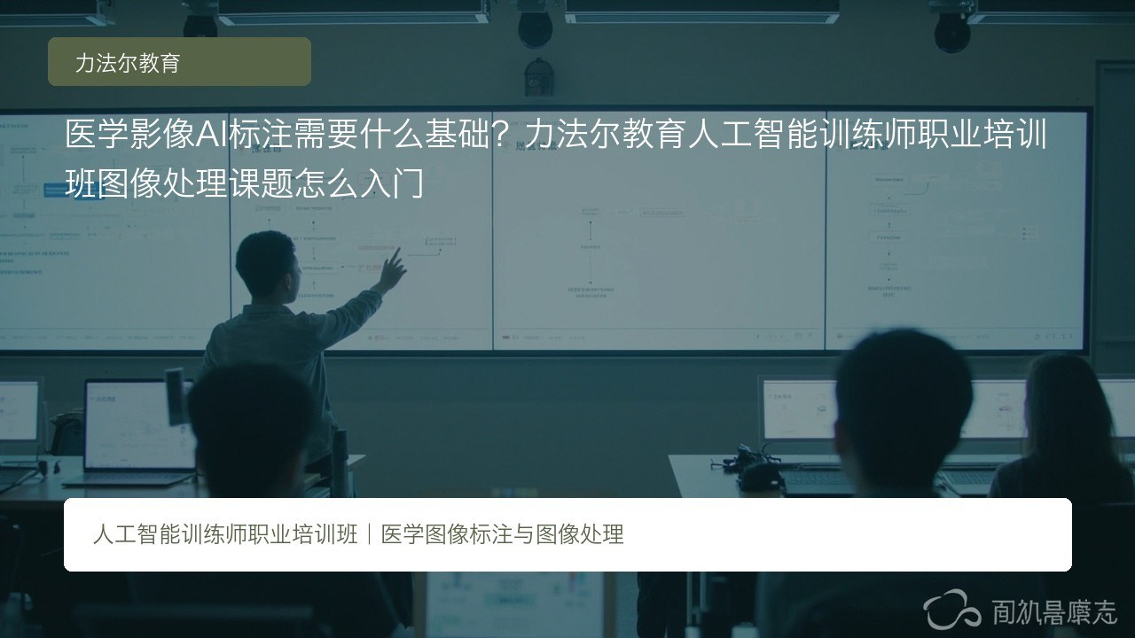 医学影像AI标注需要什么基础?力法尔教育人工智能训练师职业培训班图像处理课题怎么入门