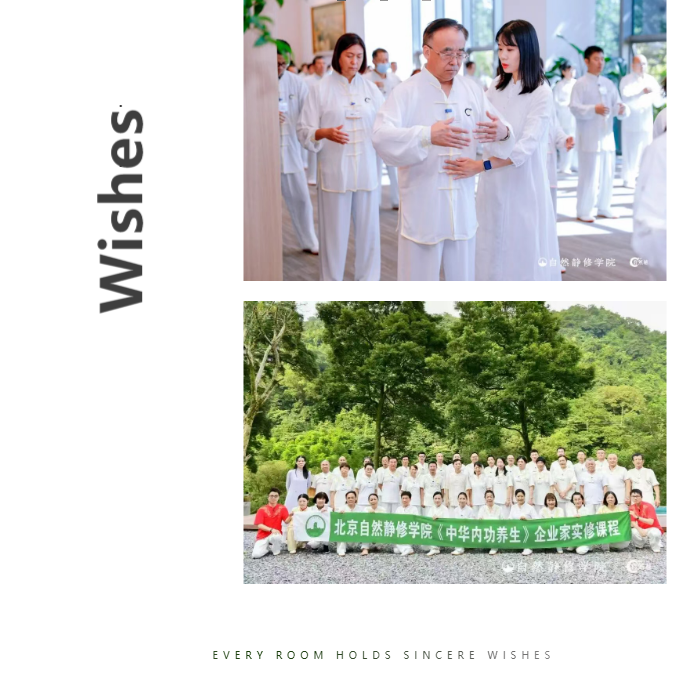 企业家生命战略自然桩·中华内功实修班