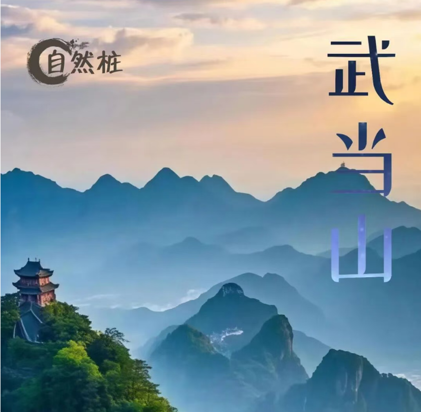企业家生命战略自然桩·中华内功实修班