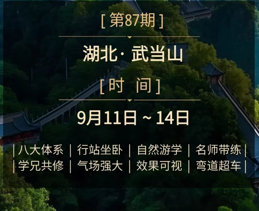 企业家生命战略自然桩·中华内功实修班