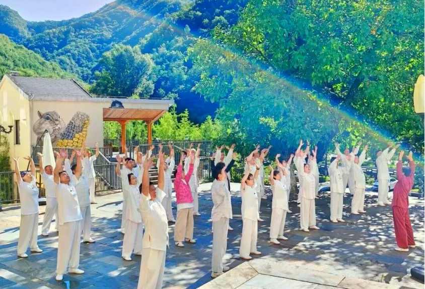 企业家生命战略自然桩·中华内功实修班