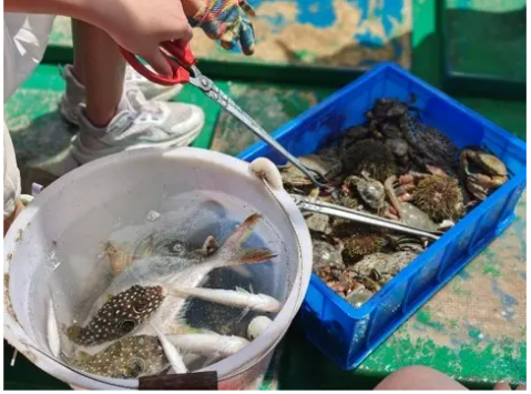 国庆营三亚·亚特兰蒂斯奇幻海岛嘉年华亲子营
