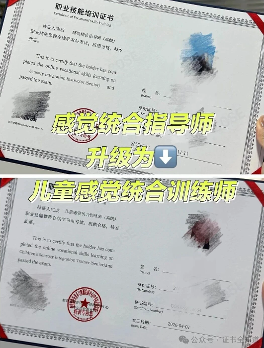 中培华创儿童感觉统合训练师证书课程