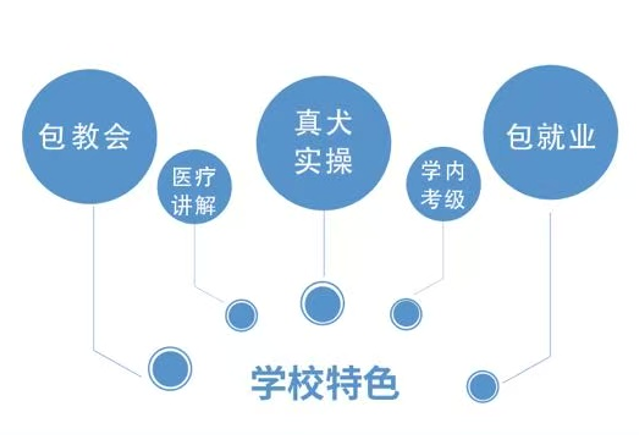 恩宠爱0基础C级班