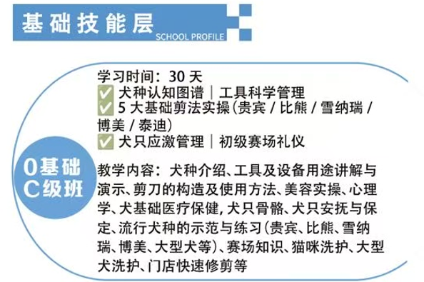 恩宠爱0基础C级班