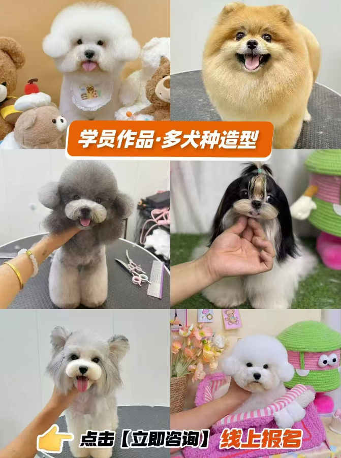 恩宠爱0基础C级班
