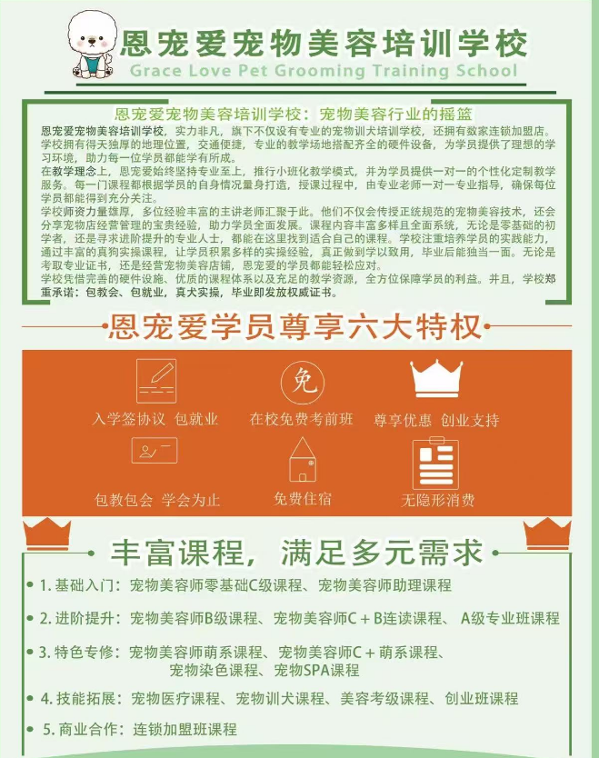 恩宠爱0基础C级班