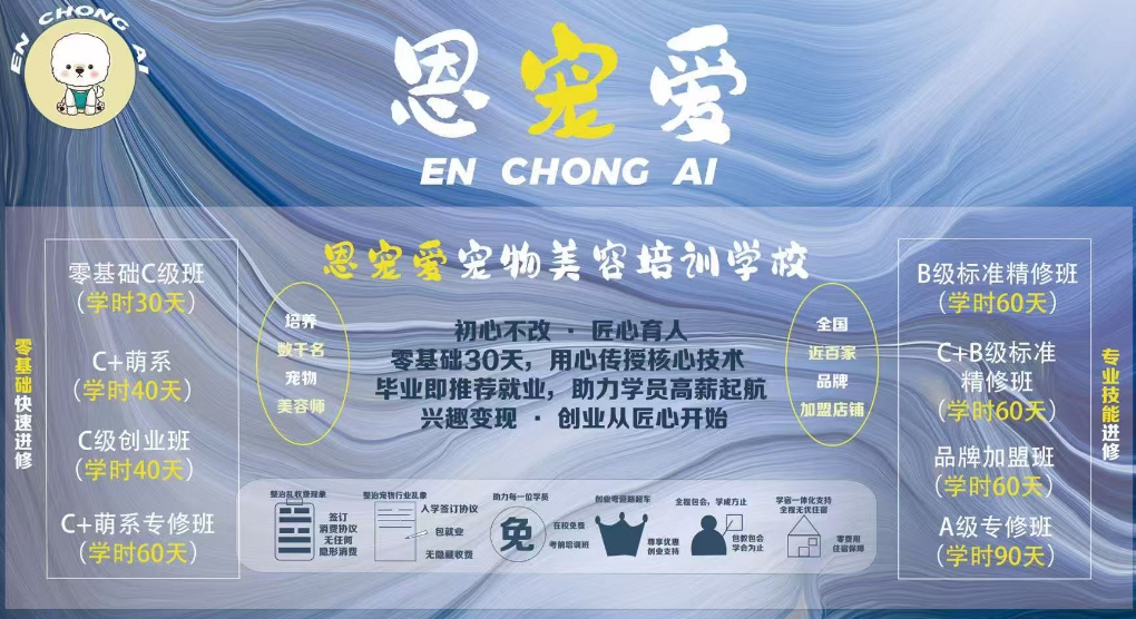 恩宠爱0基础C级班