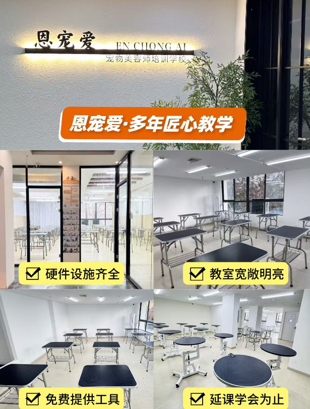 恩宠爱0基础C级班