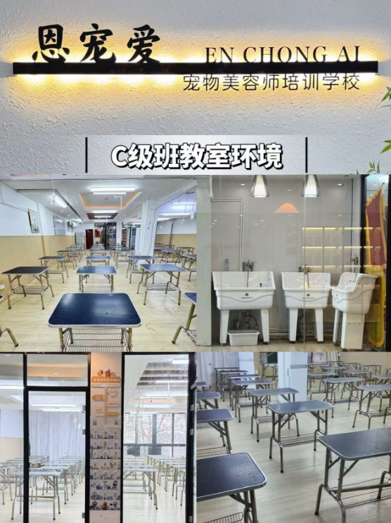恩宠爱0基础C级班