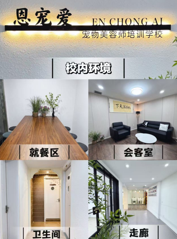 恩宠爱0基础C级班