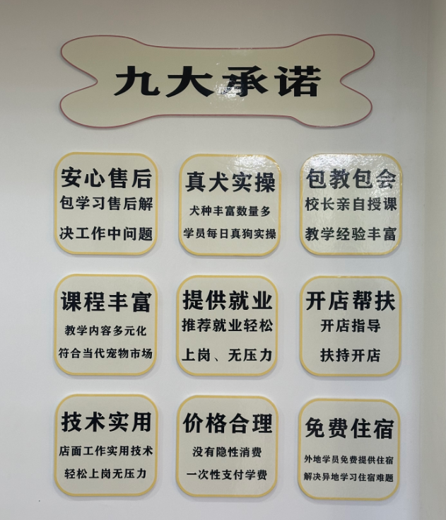 恩宠爱0基础C级班