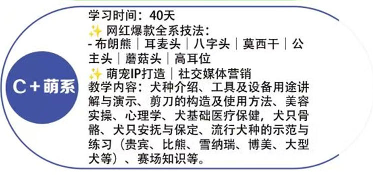 恩宠爱C+萌系班