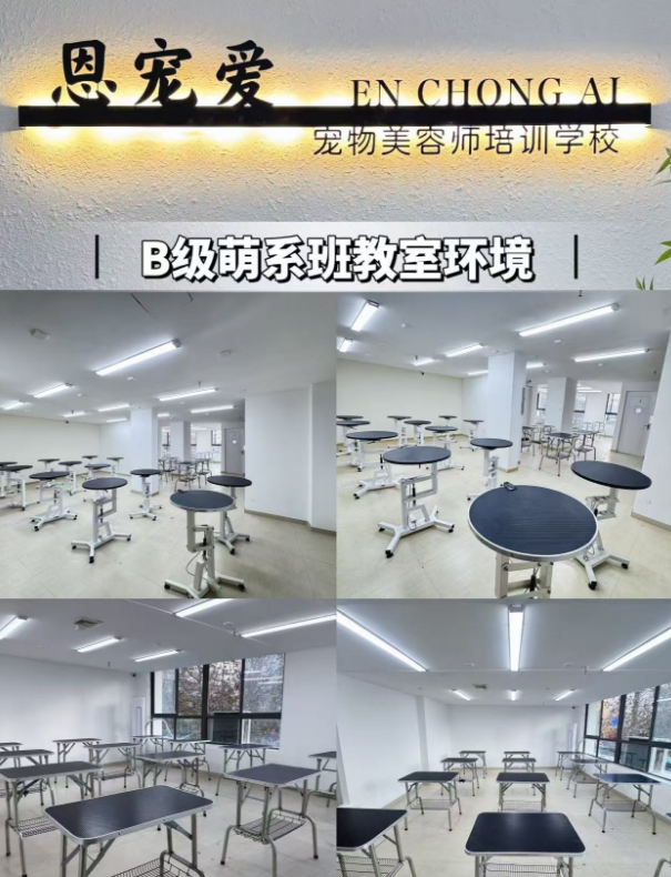 恩宠爱C+萌系班