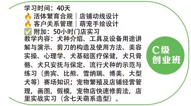 恩宠爱C级创业班