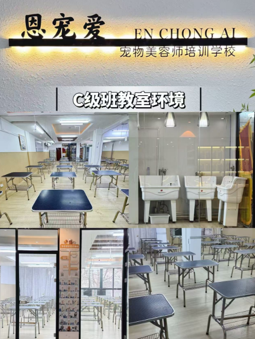 恩宠爱C级创业班