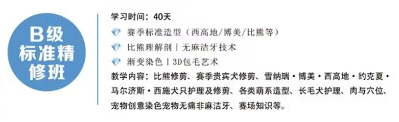 恩宠爱B级标准精修班