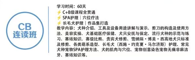 恩宠爱C+B级标准精修班