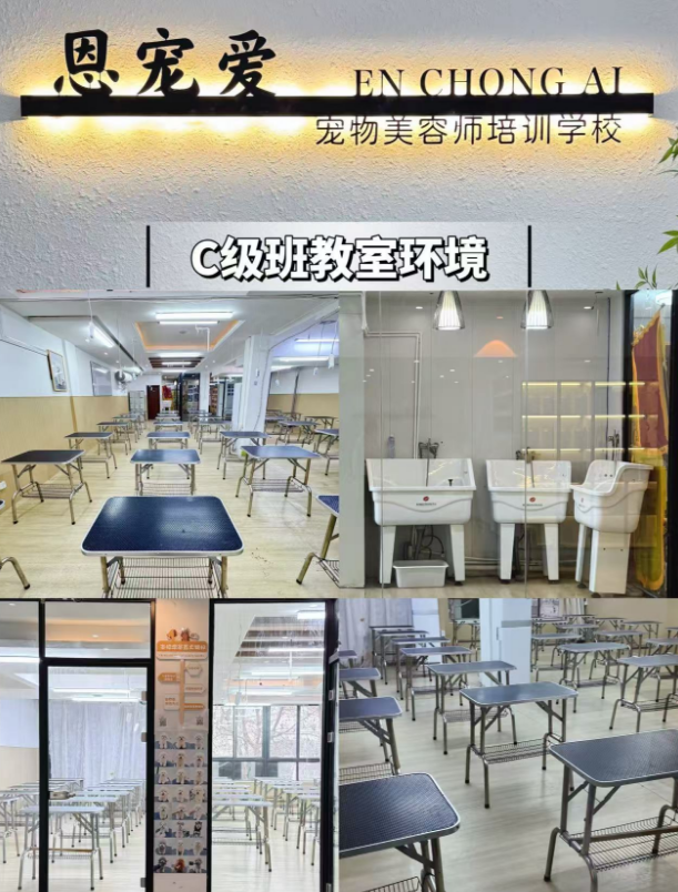 恩宠爱C+B级标准精修班