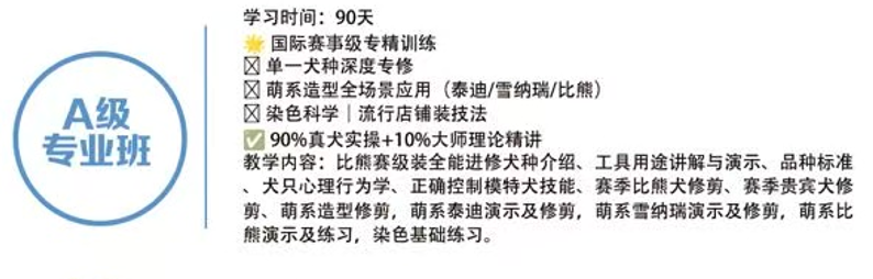 恩宠爱C+B+A级专业班