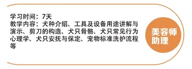 恩宠爱美容师助理班