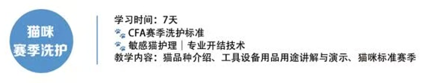 恩宠爱猫咪赛级洗护班