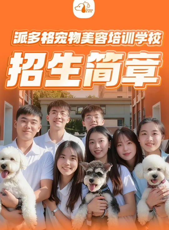博美犬的俊介造型怎么剪?派多格宠物美容专业博美犬修剪课题