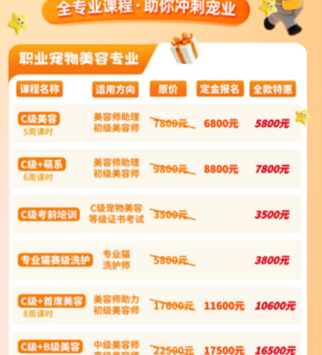 金毛和拉布拉多怎么洗护修剪?派多格宠物美容专业大型犬美容课题