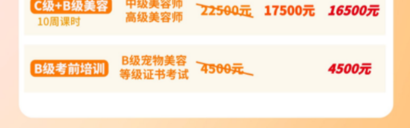派多格职业宠物美容专业课程
