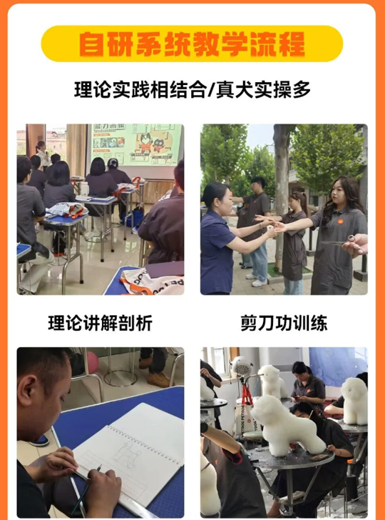 派多格职业宠物驯导专业课程