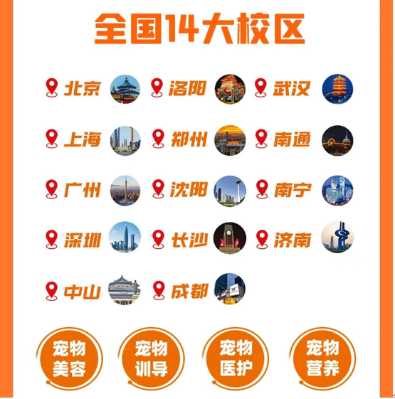 派多格职业宠物驯导专业课程
