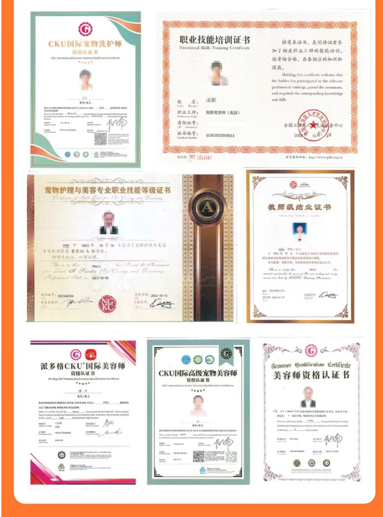 派多格职业宠物驯导专业课程