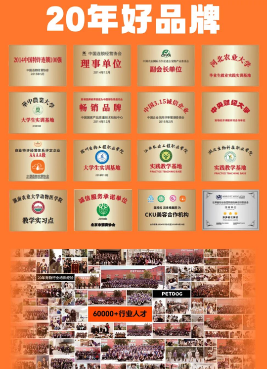 派多格职业宠物驯导专业课程