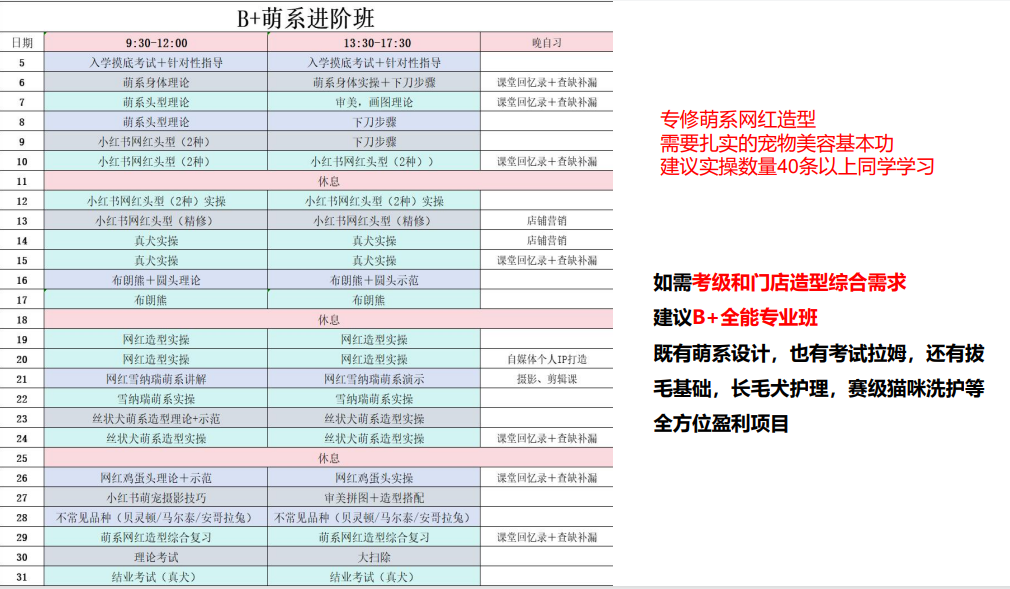 沪尚B+萌系进阶班课程