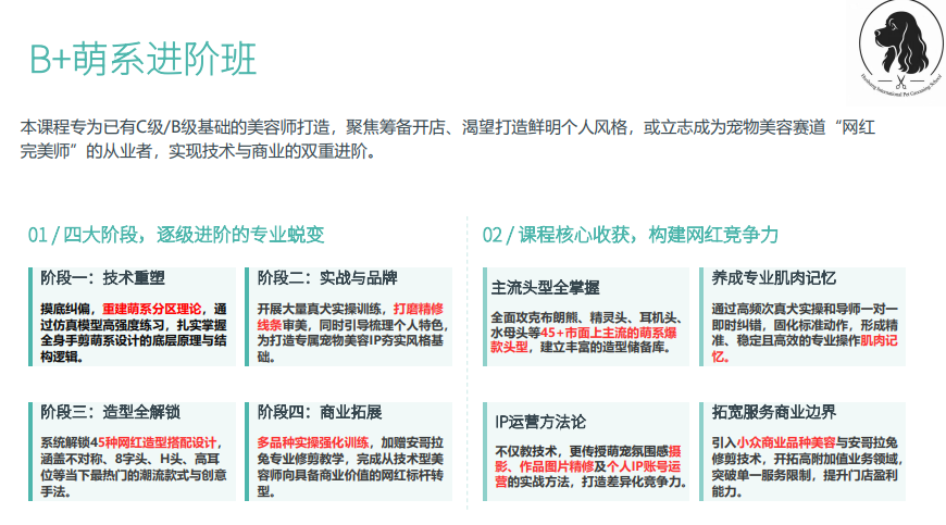 沪尚B+萌系进阶班课程