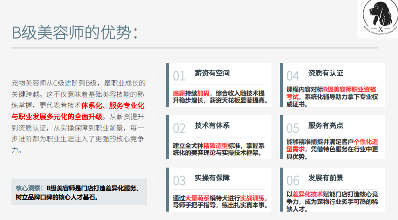 沪尚B+萌系进阶班课程